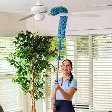 LONG FLEXIBLE FAN CLEANING DUSTER